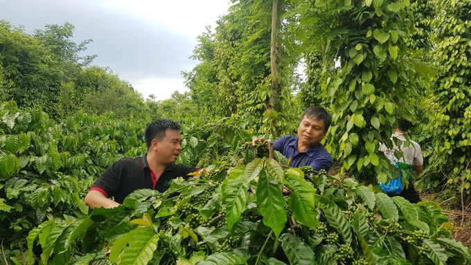 Phát triển thị trường carbon: Không chạy theo số lượng tín chỉ giá rẻ - 1 Phát triển thị trường carbon: Không chạy theo số lượng tín chỉ giá rẻ - 1