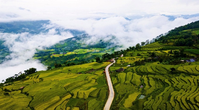Hồng Thái dịu dàng qua những mùa hoa, mùa lúa - 2 Hồng Thái dịu dàng qua những mùa hoa, mùa lúa - 2