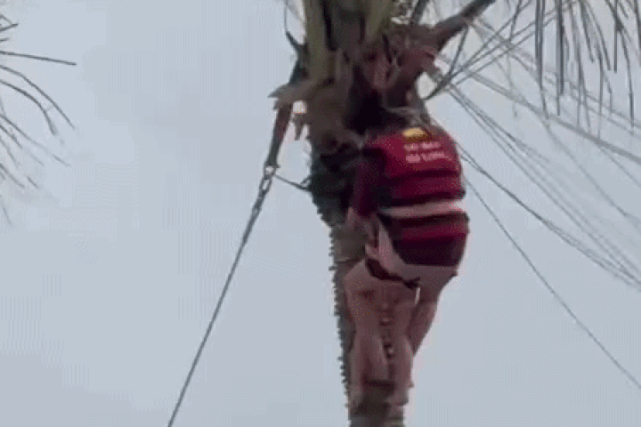 Tourists rescued after parasailing mishap in Ha Long - 1 Tourists rescued after parasailing mishap in Ha Long - 1