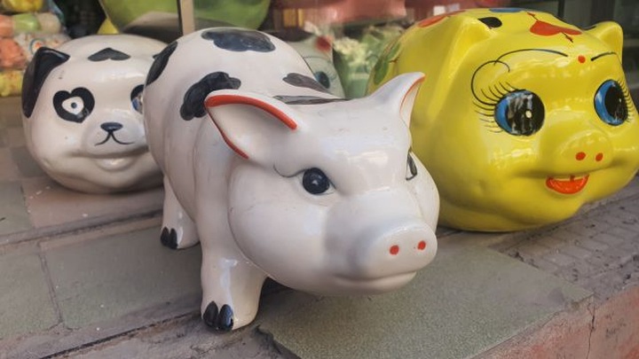 2,5 triệu đồng/con lợn tiết kiệm, mua về buốt ruột không dám đập - 7