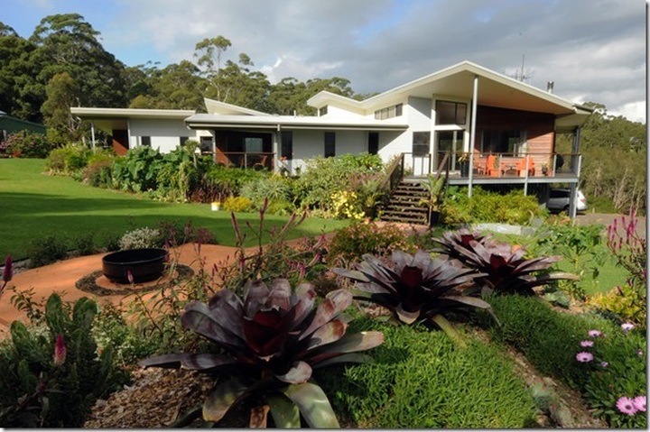 6 người bạn về quê xây nhà sống chung, an hưởng tuổi già - 9