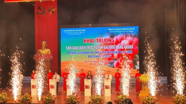 80.000 tấn vải Bắc Giang lên đường xuất ngoại bất chấp dịch Covid-19 - 1