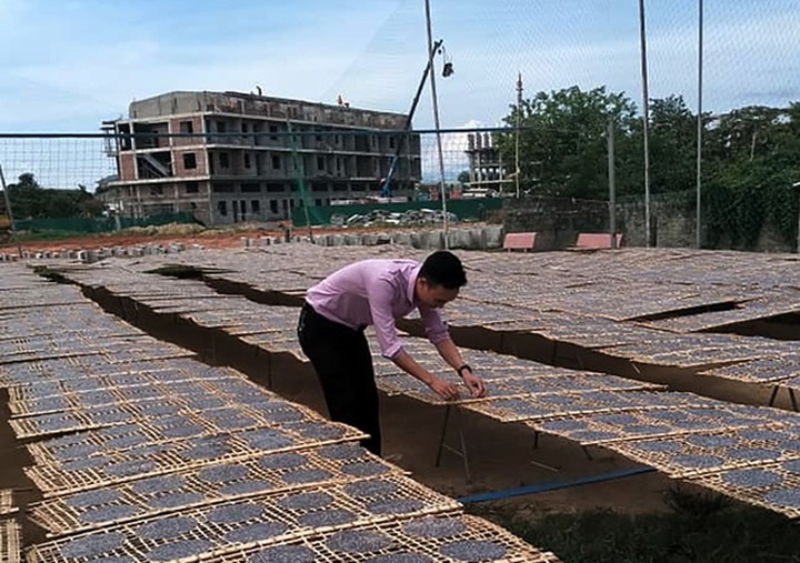 8X Nghệ An bỏ việc về quê tráng bánh đa kiếm trăm triệu đồng/tháng - 1