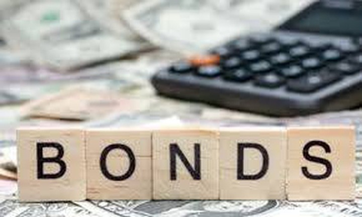 Ai đứng sau công ty địa ốc tăng vốn khủng, huy động trái phiếu ồ ạt? - 1