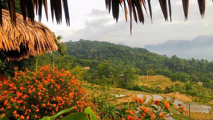 Ảnh hưởng dịch Covid-19, công suất phòng khách sạn giảm 26% - 1