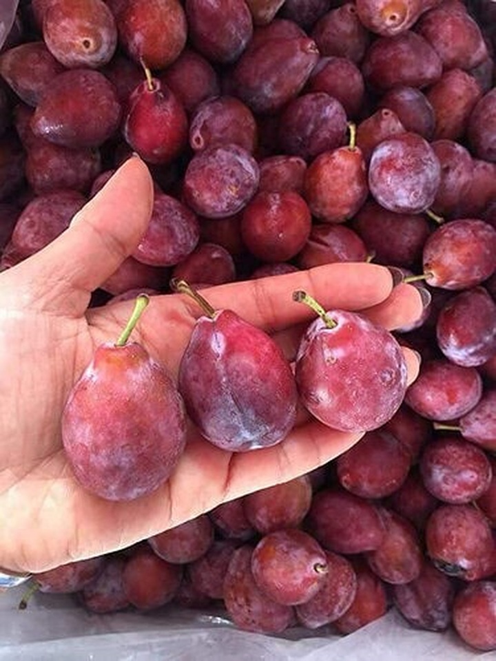 
Xuất hiện tại nhiều cửa hàng trái cây nhập khẩu, mận nhót Úc, Mỹ trở thành mặt hàng hút khách Việt. (Ảnh: Internet)
