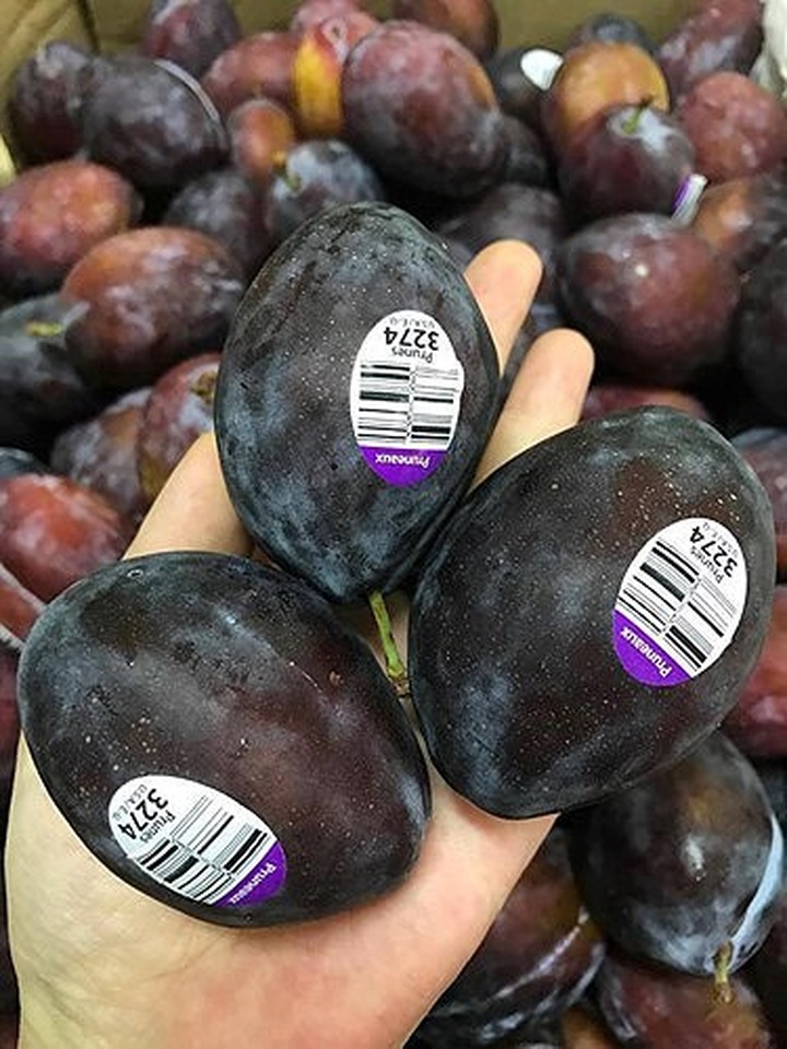 
Khách ăn mận nhót nhập khẩu thường là gia đình có thu nhập khá. Nhiều người mua cả 2-3 kg mỗi lần, thậm chí có những gia đình ngày nào cũng đặt mua mận đều đặn. (Ảnh: Lavifruits)
