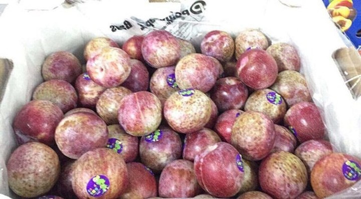 Ngoài mận nhót, các loại mận nhập khẩu từ Nhật, Mỹ đang được bày bán tràn lan trên thị trường với giá từ 250.000-900.000 đồng/kg tùy loại. Dù mận nhập khẩu có giá rất đắt đỏ, song các loại mận này đa phần có mẫu mã đẹp, quả to, ăn giòn, vị ngọt mát. (Ảnh: Vietnamnet)
