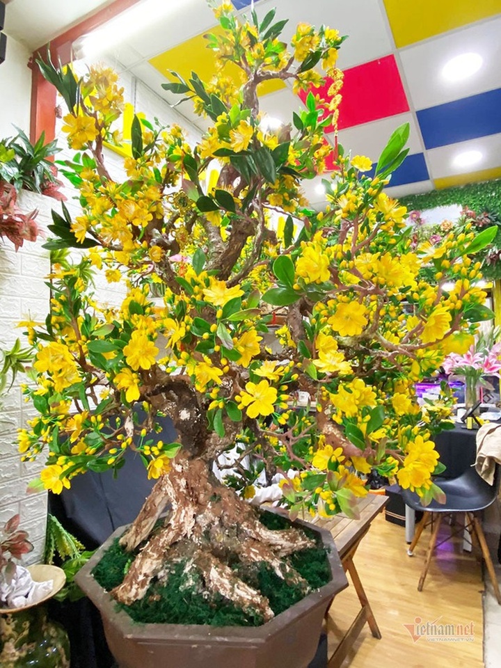Bà chủ Sài Gòn dùng 35 kg đất sét làm cây mai cao 2 m chơi Tết - 1