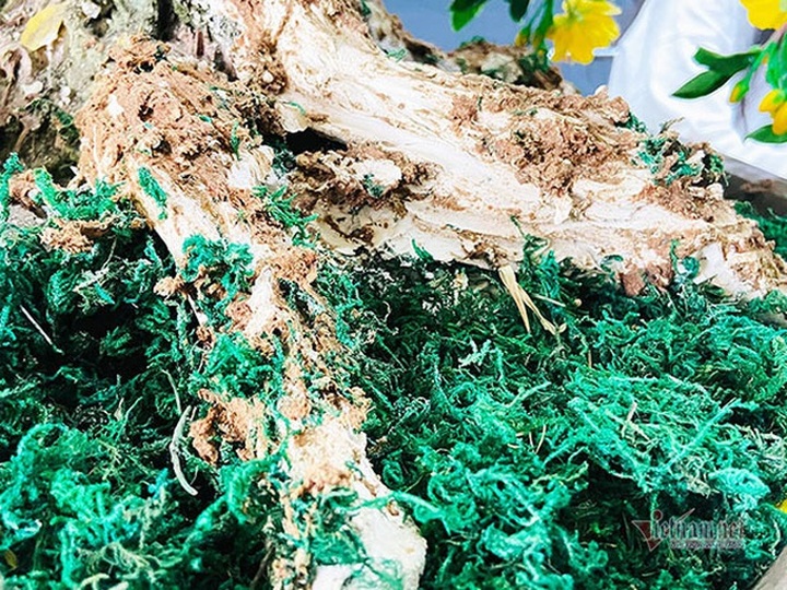 Bà chủ Sài Gòn dùng 35 kg đất sét làm cây mai cao 2 m chơi Tết - 12