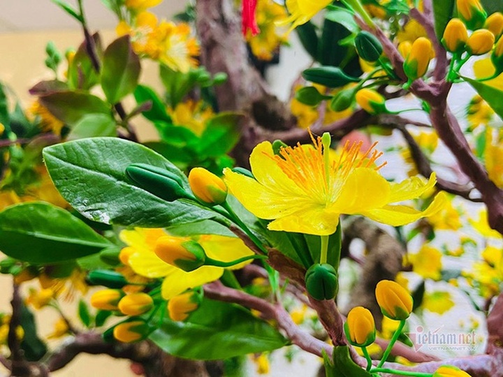 Bà chủ Sài Gòn dùng 35 kg đất sét làm cây mai cao 2 m chơi Tết - 3