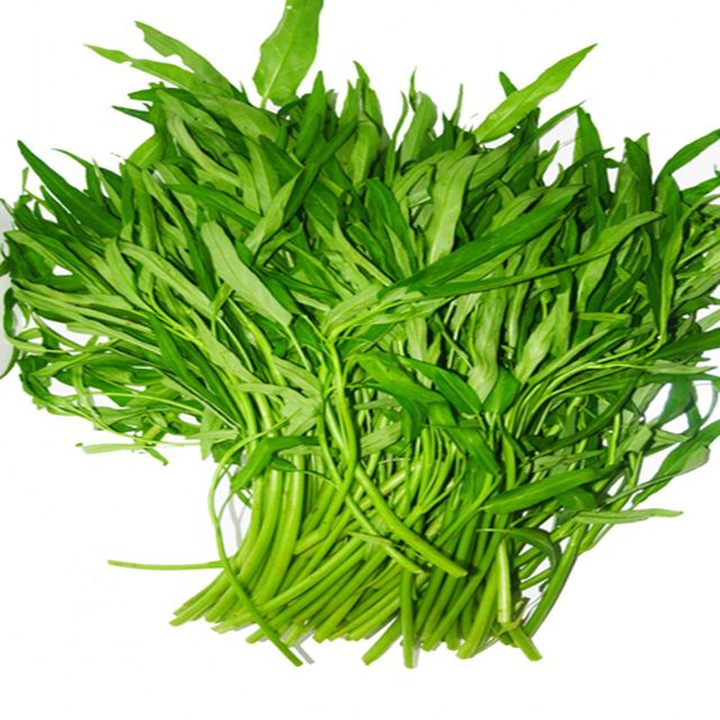 Bán cây nho lạ có quả mọc từ thân, giá 3 triệu đồng vẫn “cháy hàng” - 7