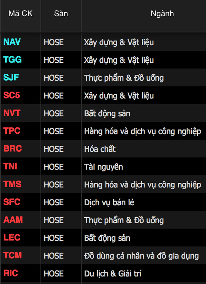 Bản tin trưa 29/11: Không có bán tháo, cổ Vingroup kéo trụ - 3