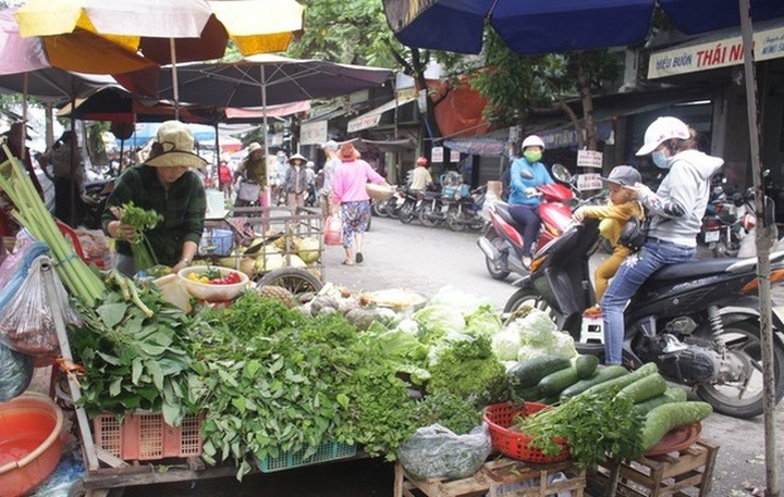 Bão giá rau xanh tại Quảng Ngãi  - 1