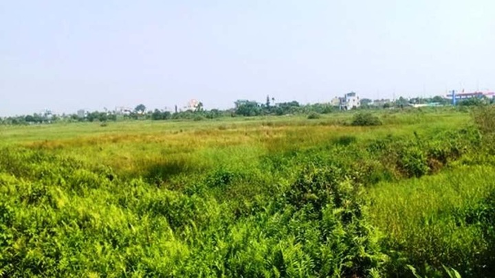 Bắt 2 cán bộ ngân hàng vụ doanh nghiệp mất 45 tỷ đặt cọc đấu giá đất - 1