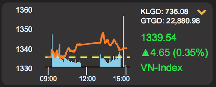 Bất ngờ đến ngỡ ngàng cổ phiếu nhà bầu Hiển và đại gia Trịnh Văn Quyết - 1