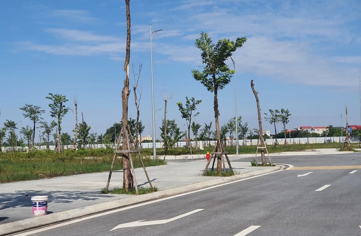 Bên trong dự án khiến Chủ tịch HĐQT Y dược Vimedimex vướng lao lý - 7