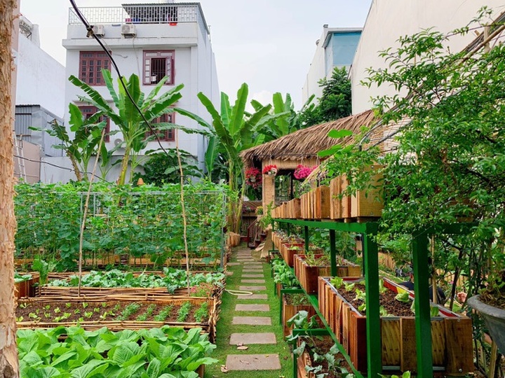 Bỏ 50 triệu đồng cải tạo vườn chuối thành khu sinh thái trong mơ - 1