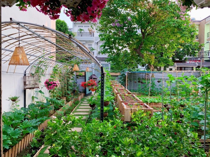 Bỏ 50 triệu đồng cải tạo vườn chuối thành khu sinh thái trong mơ - 2