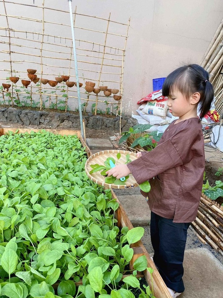 Bỏ 50 triệu đồng cải tạo vườn chuối thành khu sinh thái trong mơ - 12