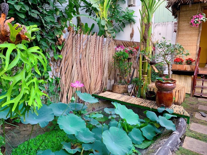 Bỏ 50 triệu đồng cải tạo vườn chuối thành khu sinh thái trong mơ - 5