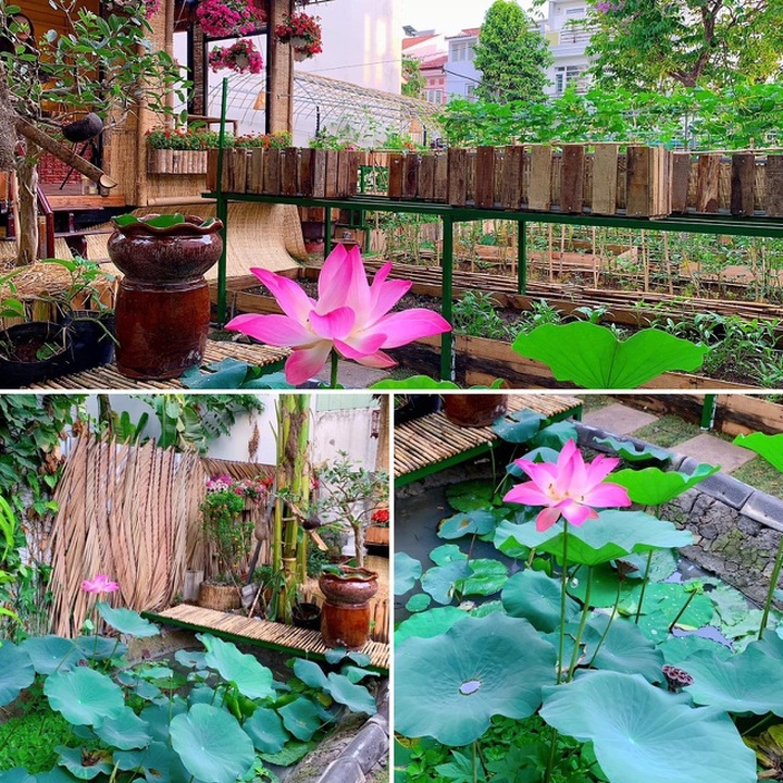 Bỏ 50 triệu đồng cải tạo vườn chuối thành khu sinh thái trong mơ - 6