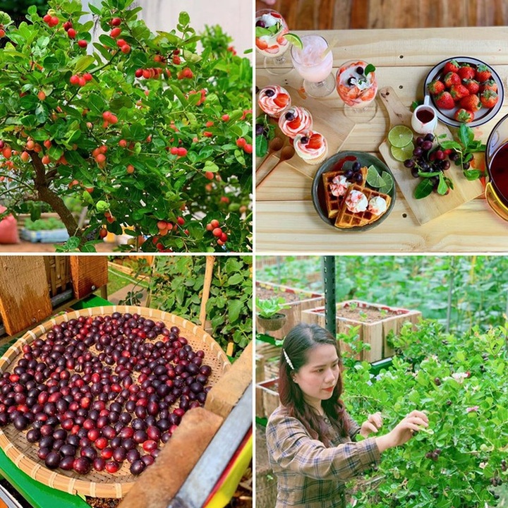 Bỏ 50 triệu đồng cải tạo vườn chuối thành khu sinh thái trong mơ - 9