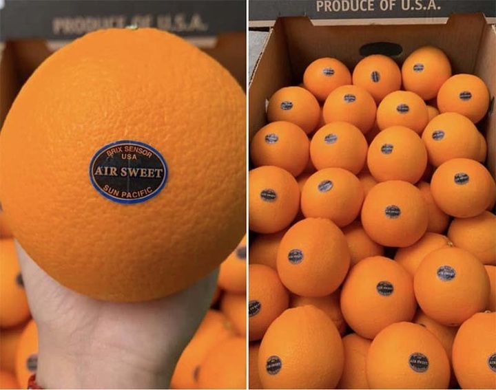 Bỏ 6.000 tỷ đồng nhập trái cây ngoại: Hàng VIP đổ bộ chợ Việt giá siêu rẻ - 2