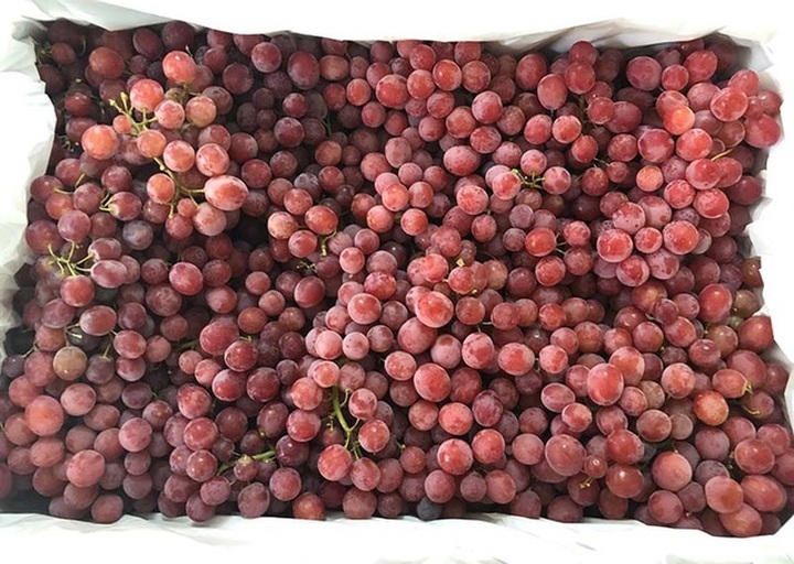 Bỏ 6.000 tỷ đồng nhập trái cây ngoại: Hàng VIP đổ bộ chợ Việt giá siêu rẻ - 3