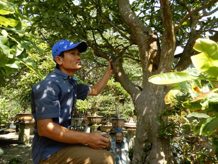 Bỏ làm giám đốc công ty sơn, về buôn cây cảnh kiếm dễ vài tỷ đồng mỗi năm - 4