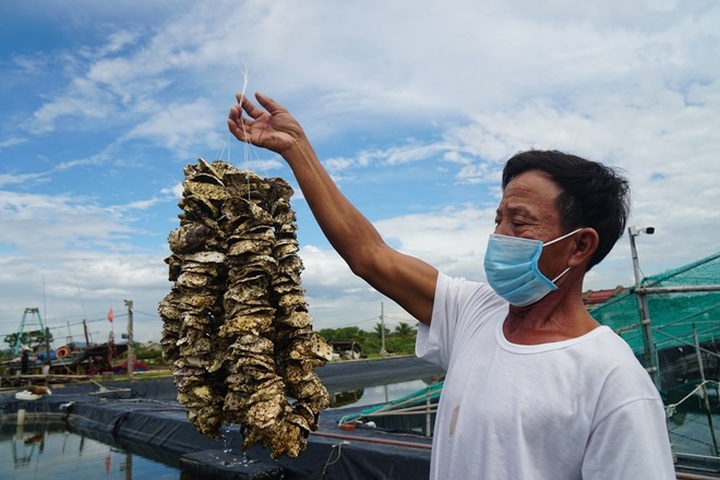 Bố mẹ vã mồ hôi lùng mua máy tính, shop điện tử cháy hàng vì học online - 3