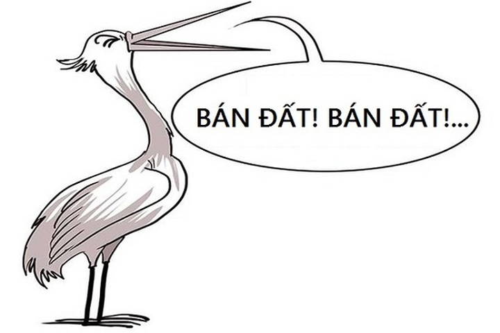 Bỏ quê lên phố làm cò đất, cô gái uất ức vì gặp ngay mảng tối trong nghề - 1