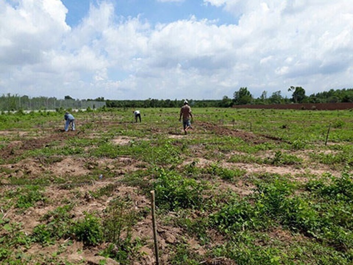 Bộ TN-MT cảnh báo lừa đảo tại các dự án nhà ở sai phép, không phép - 1
