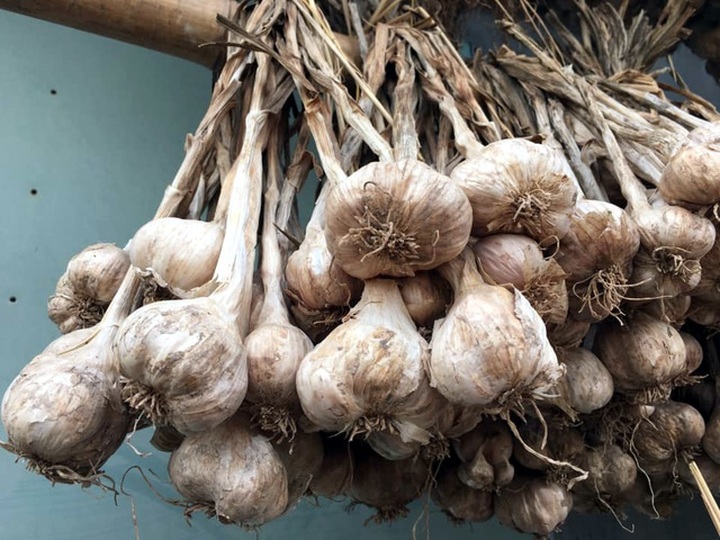 Bóc mẽ chiêu lừa hành tỏi Trung Quốc giả hàng Kinh Môn - Hải Dương - 6