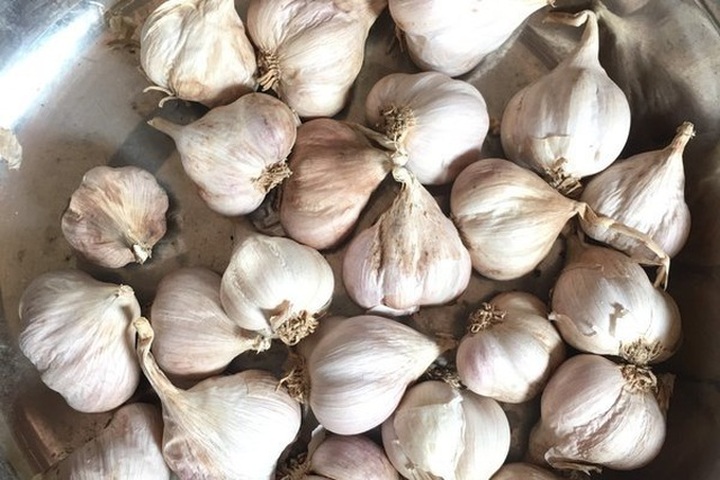 Bóc mẽ chiêu lừa hành tỏi Trung Quốc giả hàng Kinh Môn - Hải Dương - 7