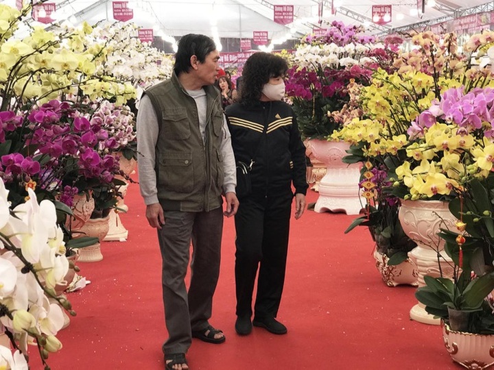 Bỏng tay với chậu lan Hồ điệp giá 165 triệu đồng cho đại gia chơi Tết - 5