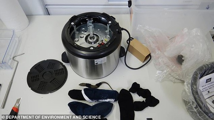 Buôn lậu động vật sống quý hiếm từ Úc sang Trung Quốc bằng… nồi cơm điện - 1