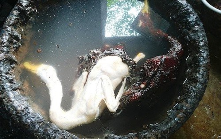 
Sau khi được ngâm nhựa thông, vịt sẽ được nhổ lông.
