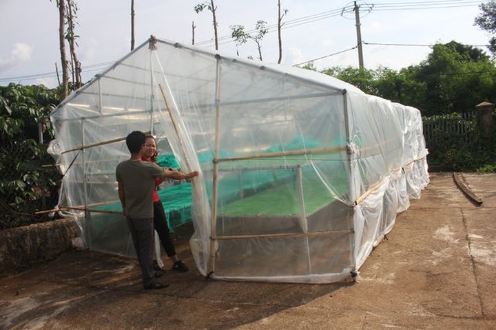 Cà phê “mất mùa, mất giá”, dân mày mò chế biến sản phẩm từ “A đến Z” - 1