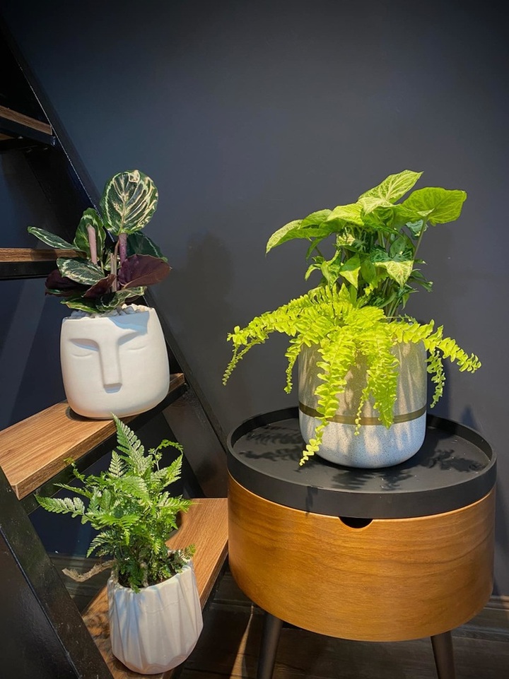 Cải tạo nhà cấp 4 ở đất Cảng đẹp sửng sốt, chi phí chưa đến 70 triệu đồng - 14