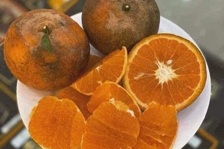 Cam sành Hà Giang siêu rẻ: 6 nghìn đồng/kg, mua cả yến vắt uống cả lít - 4