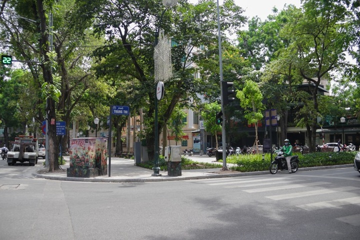 Cận cảnh vườn hoa kiểu mẫu hơn 5 tỷ đồng ở trung tâm Hà Nội - 1