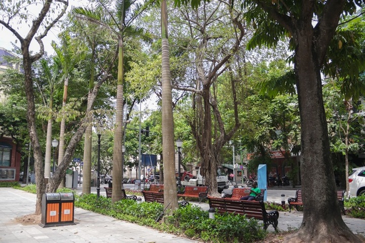 Cận cảnh vườn hoa kiểu mẫu hơn 5 tỷ đồng ở trung tâm Hà Nội - 13