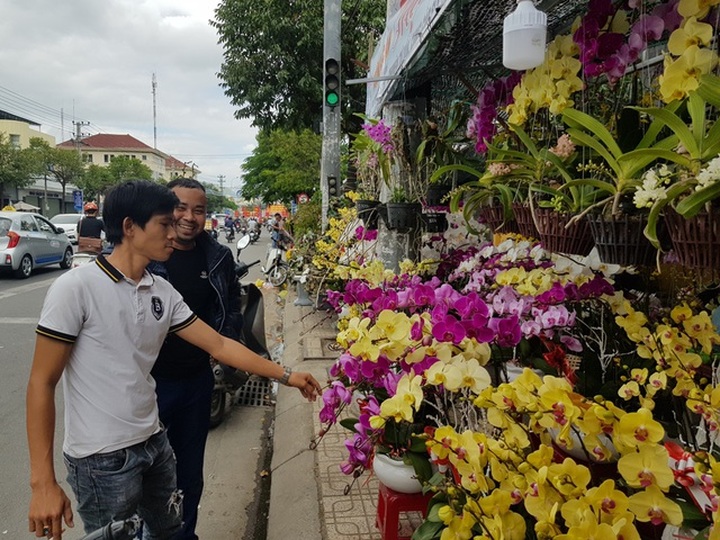 Cánh nhà giàu không tiếc tiền “rước” lan đẹp về chơi Tết - 7