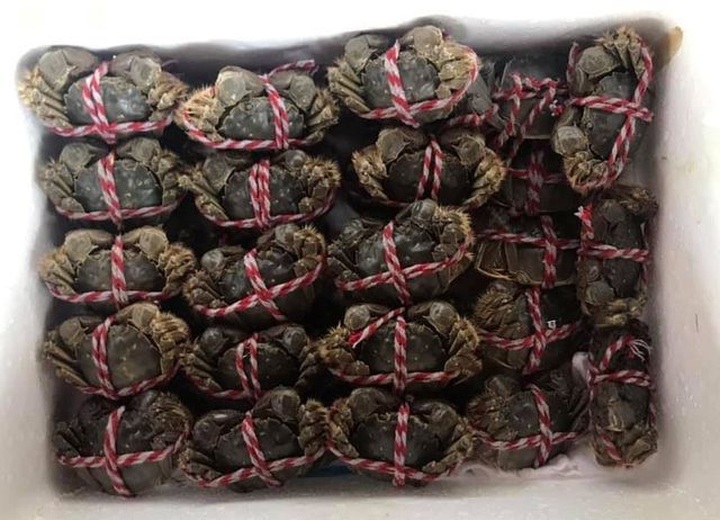 Cao lương mỹ vị của Trung Quốc, về Việt Nam giá ngang bát phở - 1