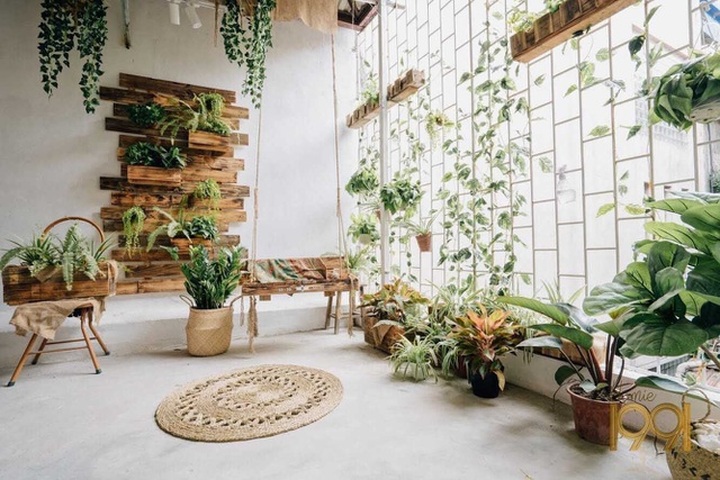 Cặp đôi chi tiền triệu rủ nhau đi trốn dịch ngày Valentine - 2