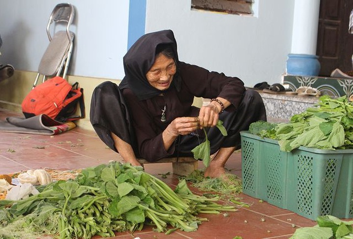 Cặp vợ chồng 20 năm giữa đảo hoang, mỗi ngày 2 tạ rau bí bán khắp Hà Nội - 6