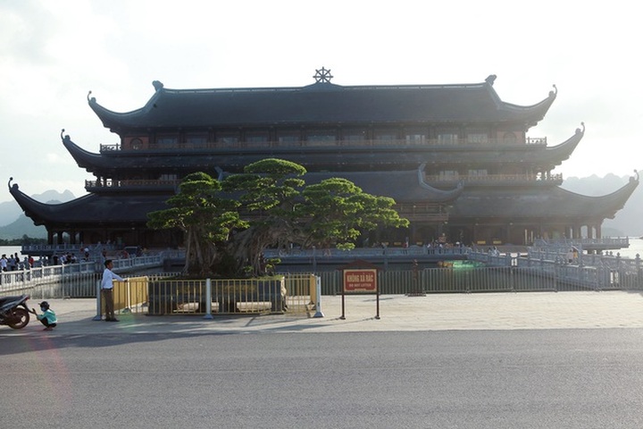 Cây sanh khủng thế nào khiến ông chủ ngôi chùa lớn nhất thế giới mê mẩn? - 1