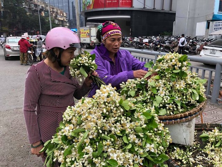 Theo tính toán của người bán, nếu đắt khách, họ có thể lãi tiền triệu mỗi ngày.