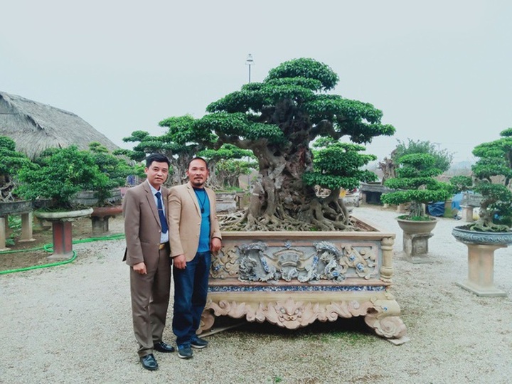 “Chấn động” tác phẩm 28 tỷ đồng được “biến hóa” từ ngọn cây tưởng bỏ đi - 2